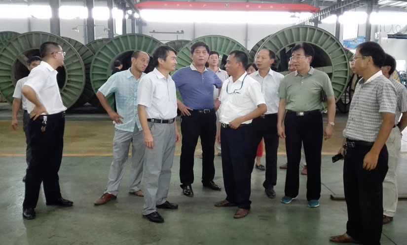 县政协副主席周承志莅临我司工作指导